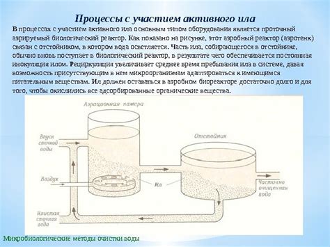 Роль активного ила в передовых процессах очистки