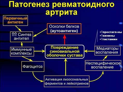 Роль аминокислот и нейротрансмиттеров в качестве компонентов сыра