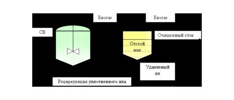 Роль биологического осадка в процессе очистки сточных вод