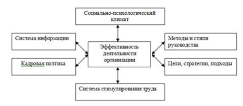 Роль благоприятного окружения в понимании и применении конструкции сетки