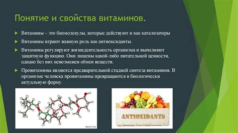 Роль витаминов в пищеварении и обмене веществ: где они синтезируются и как они влияют на организм