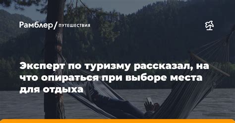 Роль владельца в выборе места для отдыха нашего пушистого друга