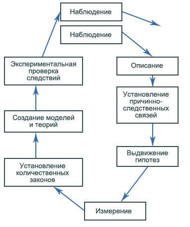 Роль внимания и наблюдения в процессе познания
