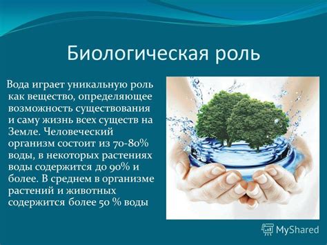 Роль воды в географическом мире