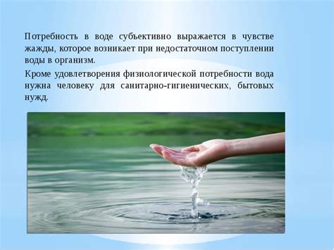 Роль воды в подготовке к тренировке