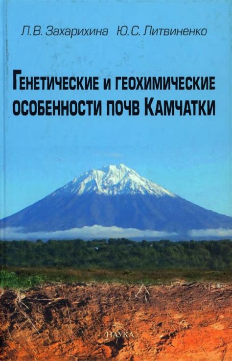 Роль вулканического пепла в обогащении почв Камчатки