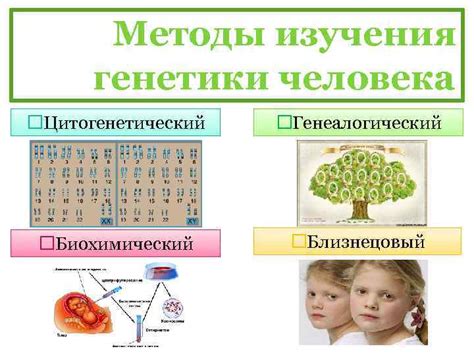 Роль генетики в современном обществе