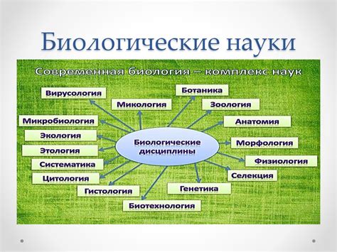 Роль гифов в понимании биологических процессов