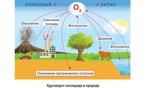 Роль глубинных потоков воды в экологическом равновесии биосистем пустынных регионов