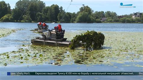 Роль глубокой воды, свежевымытых берегов и подводной растительности