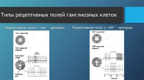 Роль горизонтальных световых расстояний в передаче информации сверхсветовой скоростью