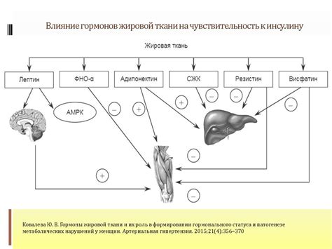 Роль гормонального баланса в формировании овариальных фолликулов