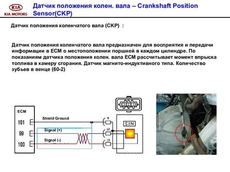 Роль датчика вращения коленчатого вала в функционировании автомобиля Nissan Primera P12