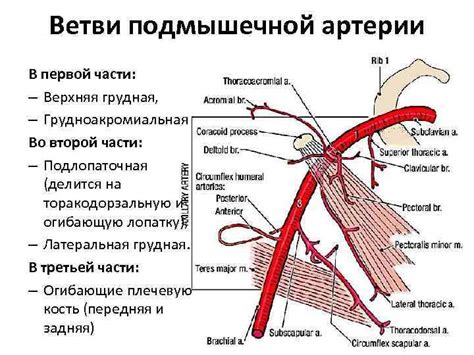 Роль железной артерии в развитии колониальных и имперских эмпайров