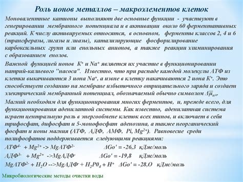 Роль ионов металлов в определении оттенков химических соединений