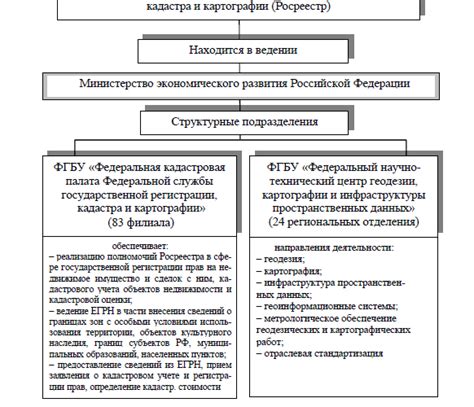 Роль и функции Росреестра: организация, обеспечивающая государственную систему учета недвижимости