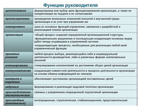 Роль и функции временного исполнительного руководителя