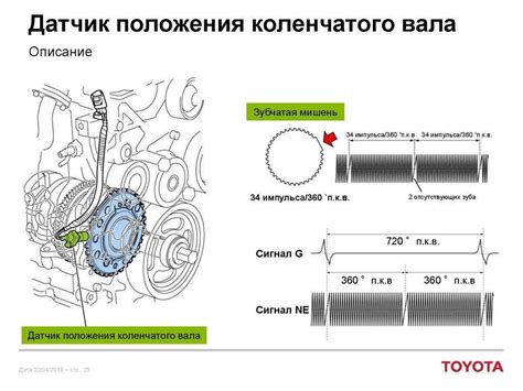 Роль и функции датчика коленвала Citroen C4 ER6: основные аспекты