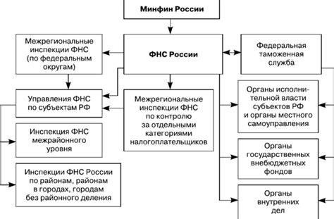 Роль и функции федеральных налоговых служб в организации и обеспечении налоговой системы