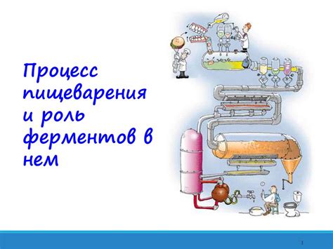 Роль кефира в улучшении пищеварения и снижении тошноты