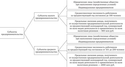 Роль местных женщин в сфере политики и предпринимательства