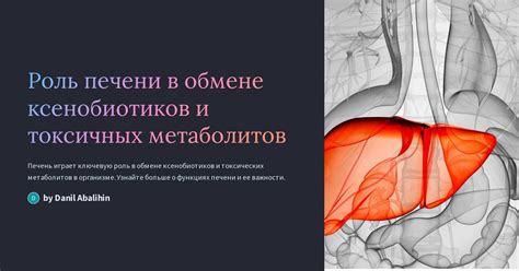 Роль метаболитов третичного мочевого канала в организме ребенка и их связь с функцией выделительной системы