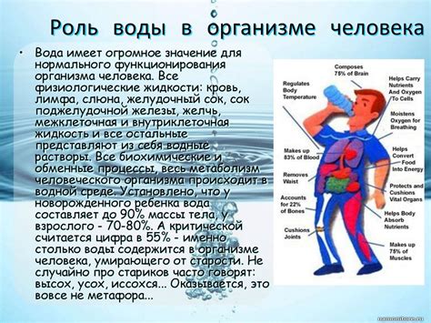 Роль минеральной воды в восполнении потери жидкости