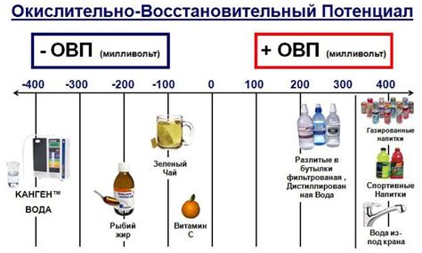 Роль оксидации в процессе окисления вина