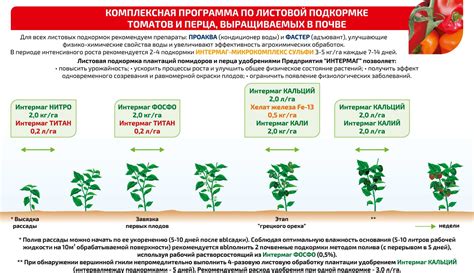 Роль питательных веществ в повышении урожайности томатов