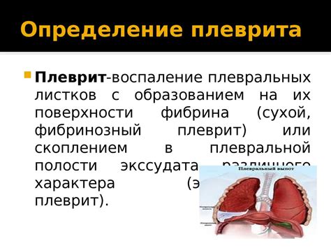 Роль плевральной жидкости в плевральной полости