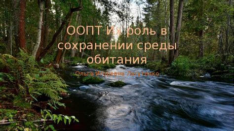 Роль подтопольника в сохранении водной среды