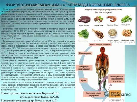 Роль правой почечной функции в организме женщины