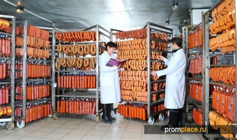 Роль приправ в формировании вкусового букета колбасных изделий