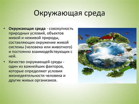 Роль природной среды и геологические особенности истока Оки