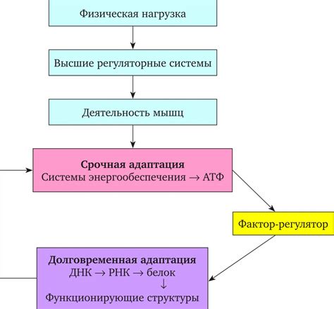 Роль психологических факторов в адаптации к применению триколорного устройства