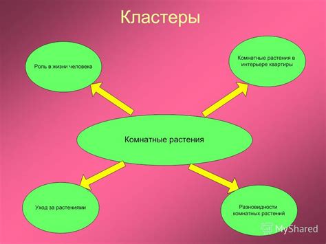 Роль растений в интерьере: их воздействие на настроение и баланс энергии