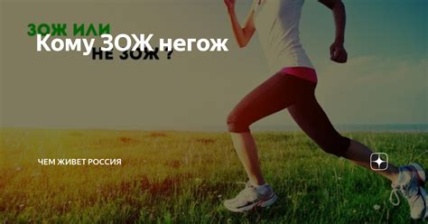 Роль регулярных комплексных исследований для нашего здоровья