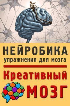 Роль спинозной колонки в охранении центрального книжного мозга