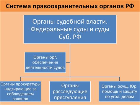 Роль судебных органов в ходе изъятия лиц в правоохранительные органы