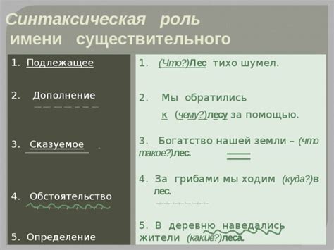 Роль существительного в предложении и способы его определения