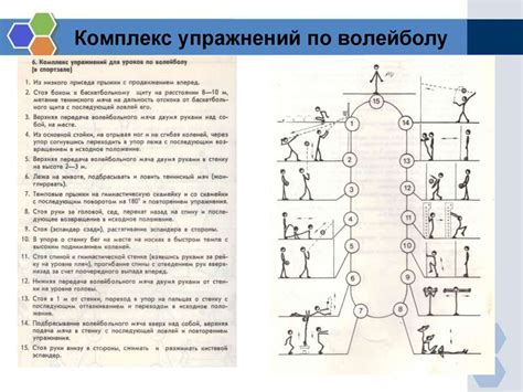 Роль тренировок и практики в развитии двигательных навыков