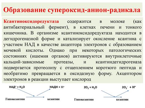 Роль углекислоты и кислорода