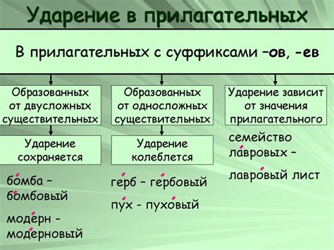 Роль ударения в выделении прилагательных