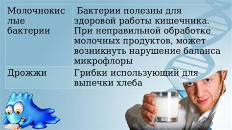 Роль ферментированных молочных продуктов в поддержании здоровой микрофлоры ЖКТ