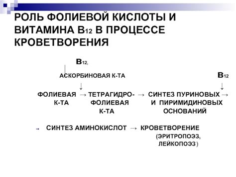 Роль фолиевой кислоты в процессе клеточного размножения