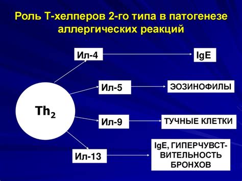 Роль хлорки в возникновении аллергических реакций 