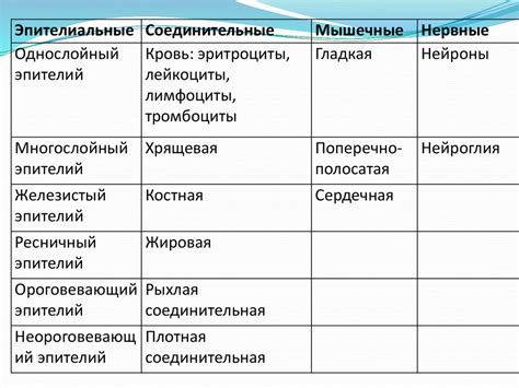 Роль эпителиальных тканей в функционировании мочеполовой системы у животных