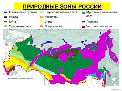 Россия: черты страны, ее природные особенности и региональные различия