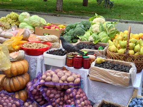 Рынки и супермаркеты с местными продуктами и деликатесами