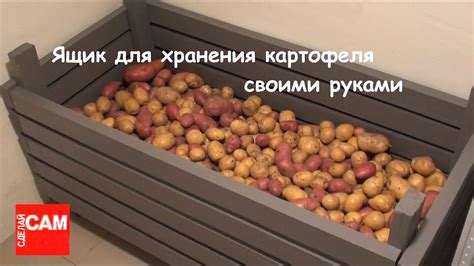 Саки, мешки или ящики: какой вариант выбрать для хранения картошки